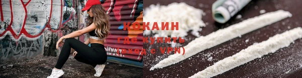 крисы Баксан