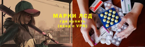 крисы Баксан