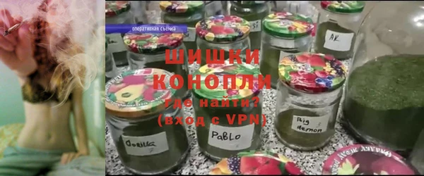 крисы Баксан