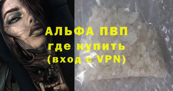 тгк Снежногорск